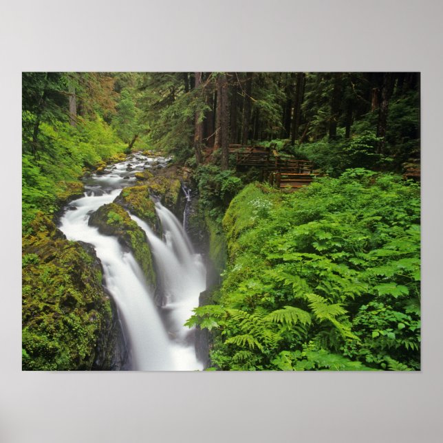 Póster Cascadas Sol Duc en el Parque Nacional Olímpico en (Frente)