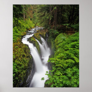 Póster Cascadas Sol Duc en el Parque Nacional Olímpico en