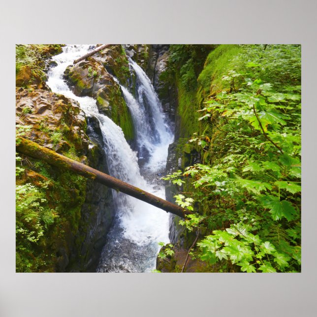 Póster Cascadas Sol Duc I en el Parque Nacional Olímpico (Frente)