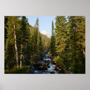Póster Cascade Creek en Grand Teton