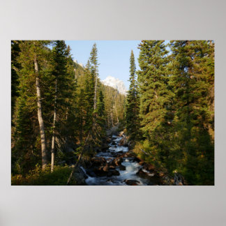 Póster Cascade Creek en Grand Teton