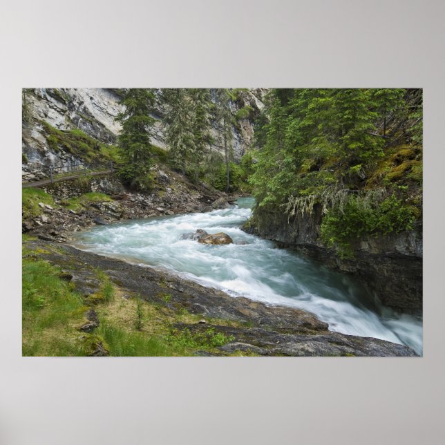 Póster Cascades (Frente)