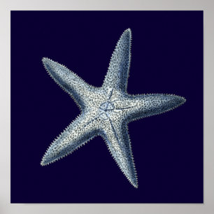 Póster Cáscaras de índigo IV