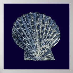 Póster Cáscaras de índigo VIII