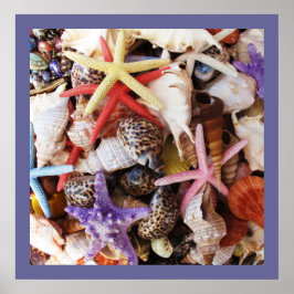 Póster Cáscaras de peces estrella coloridas