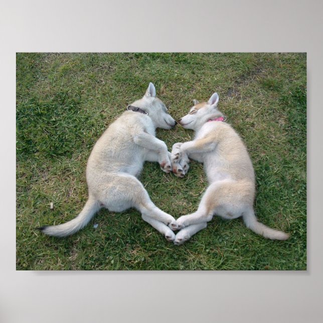 Póster cascarilla (Frente)