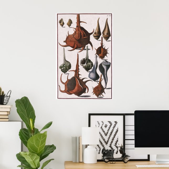 Póster Cascos marinos de época, cáscaras oceánicas Vida m (Oficina en casa)