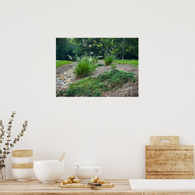 Póster Cassian Fountain Grass & Juniper, (Cocina)