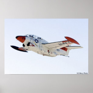Póster Castaño de Indias del T-2