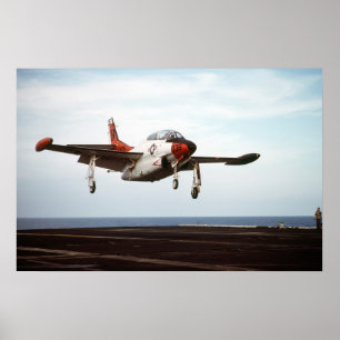 Póster Castaño de Indias del T-2