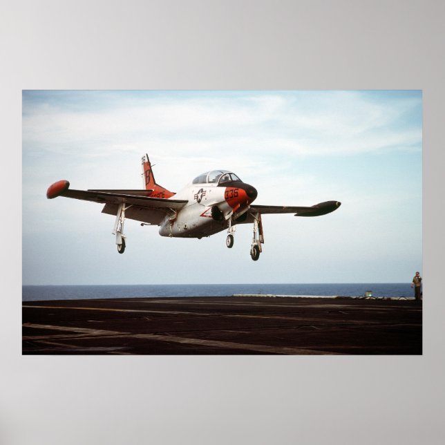 Póster Castaño de Indias del T-2 (Frente)