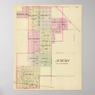 Póster Castaño, Nebraska