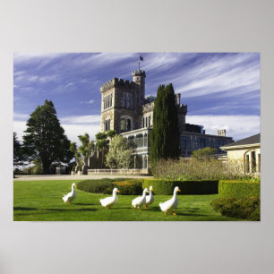Póster Castillo de Larnach, Península de Otago, Dunedin,