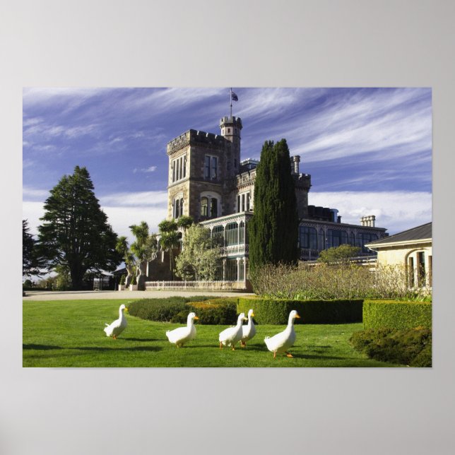Póster Castillo de Larnach, Península de Otago, Dunedin, (Frente)