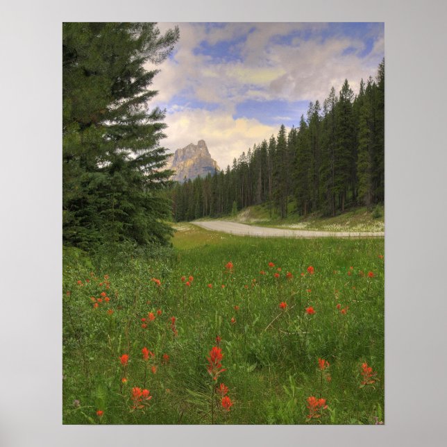 Póster Castillo de Montaña Banff (Frente)