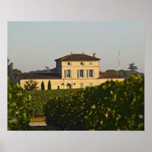 Póster Castillo francés Lafleur Petrus y viñedo, en