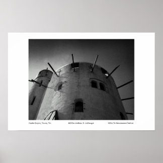 Póster Castle Gwynn