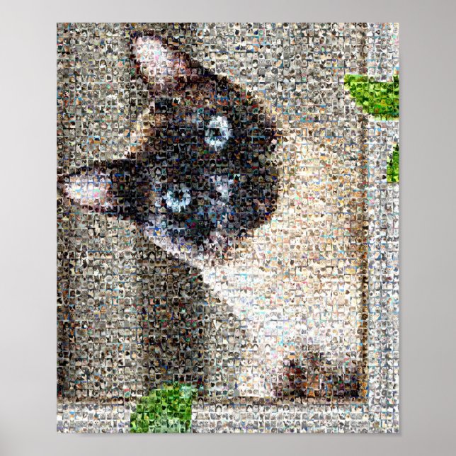 Póster Cat (Frente)