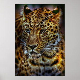 Póster cat-301154 GRAN FOTOGRAFÍA ANIMAL DE LEOPARD