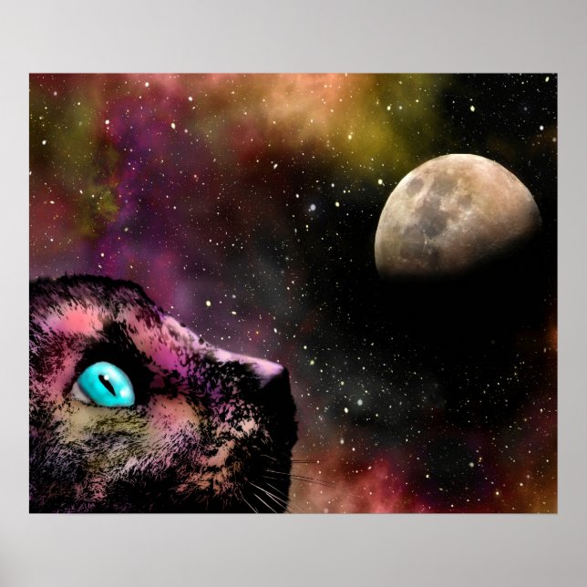 Póster Cat 619 (Frente)