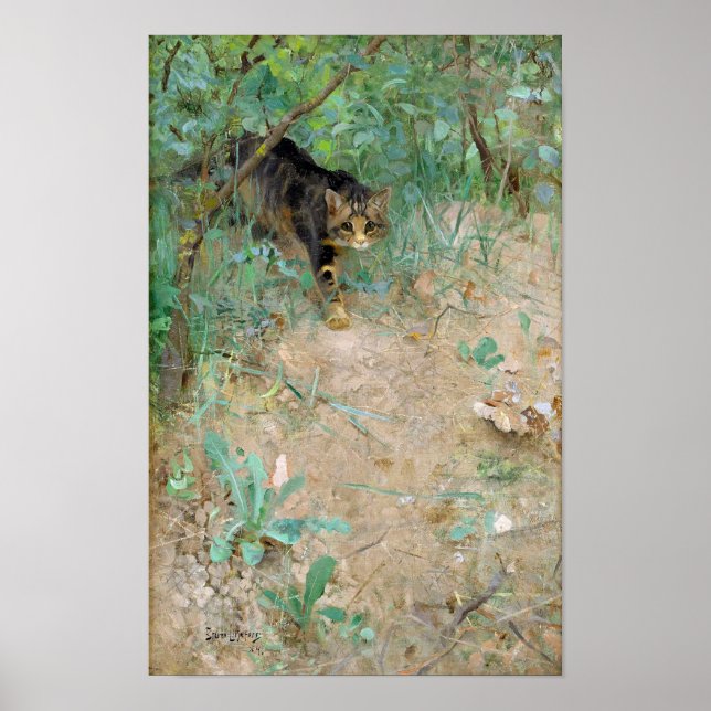 Póster Cat, Bruno Liljefors (Frente)