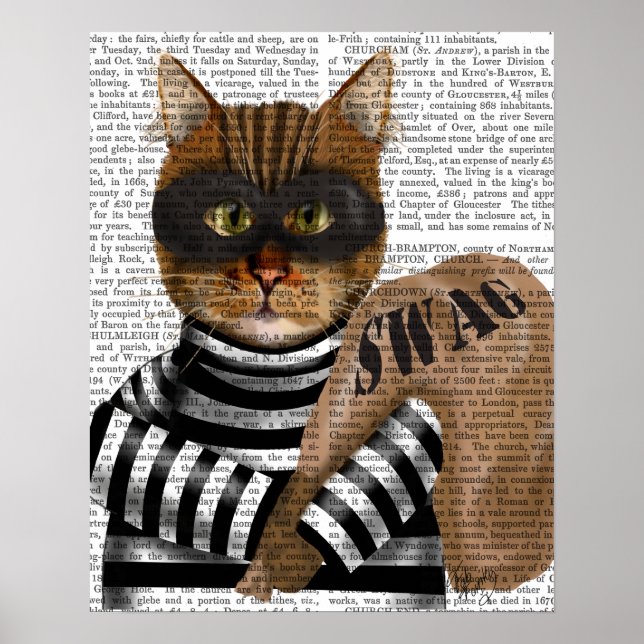 Póster Cat Burglar (Frente)