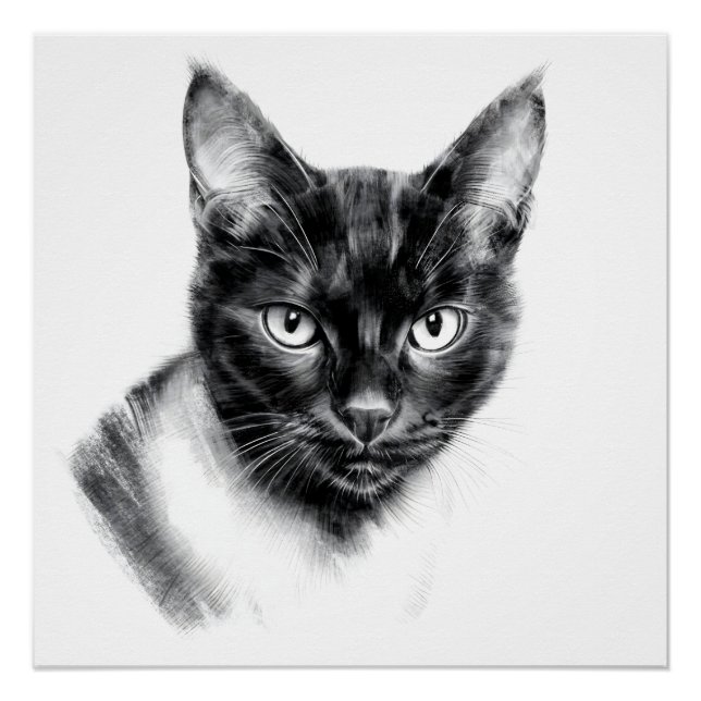 Póster Cat Charcoal (Anverso)