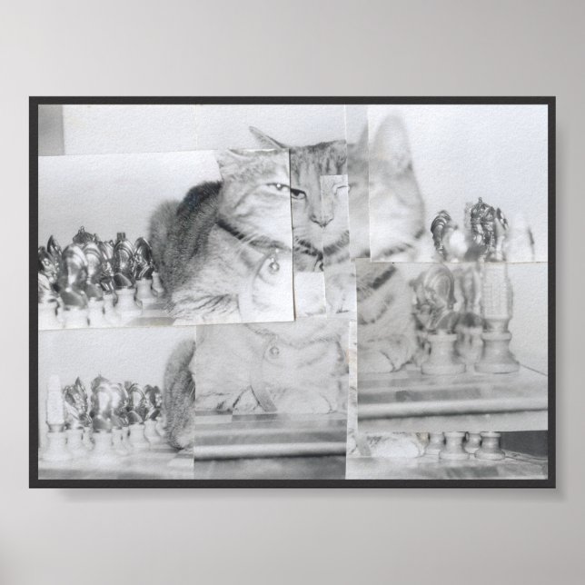 Póster Cat Chess (Frente)