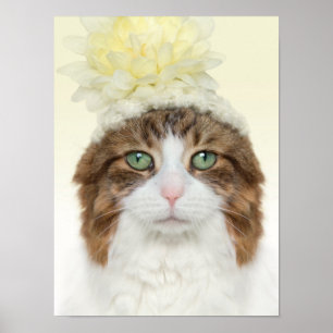 Póster Cat Con Gorra De Flores