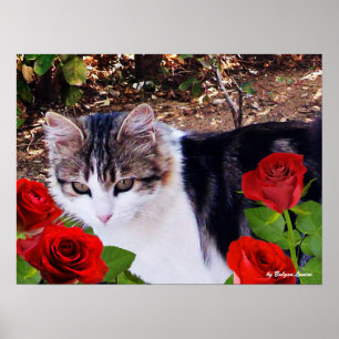 PÓSTER CAT CON ROSAS ROJAS