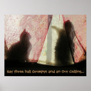 Póster Cat Confessions