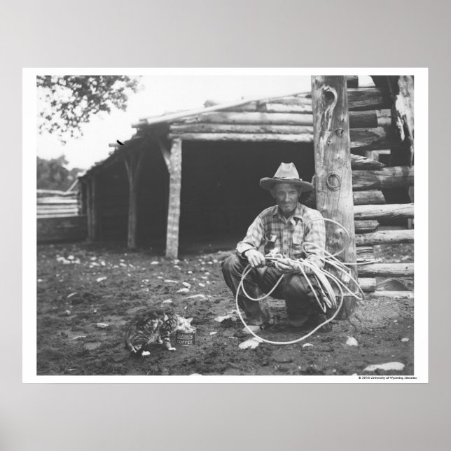 Póster Cat eating out of a coffee can (Frente)