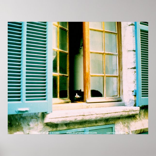 Póster Cat en la ventana/JSKFR003 (Frente)