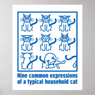 Póster Cat Expressions poster