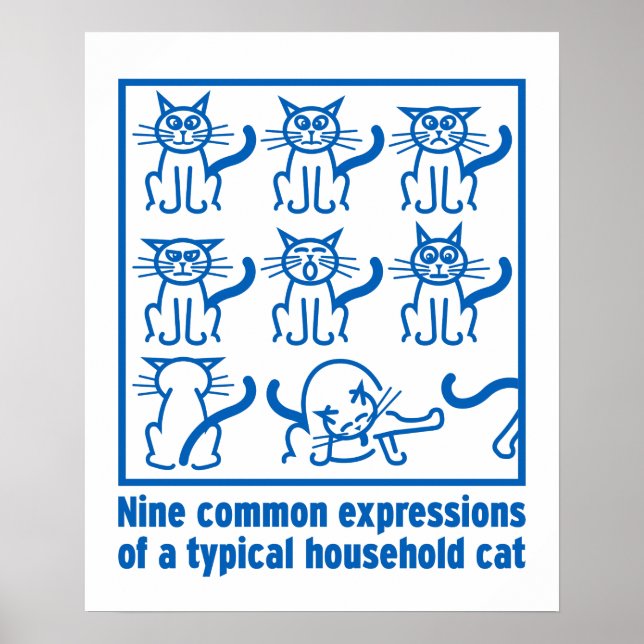 Póster Cat Expressions poster (Frente)