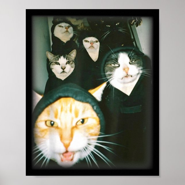 Póster Cat Gang Meme Funny Chaotic Cats Unhinged Feline H (Frente)