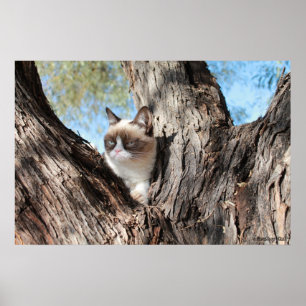 Póster Cat™ gruñón en un poster del árbol