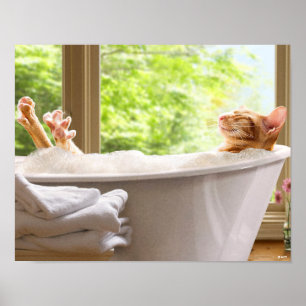 Póster Cat In Bubble Bath