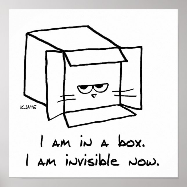 Póster Cat in the Box - Funny Cat Poster (Frente)