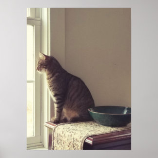 Póster Cat In Window