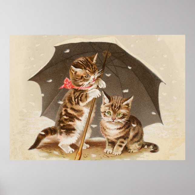 Póster Cat Kitten kitty bonito vintage antiguo lindo (Frente)