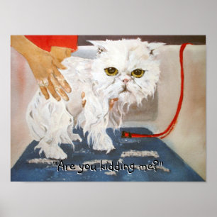 Póster Cat Kitty Vet Mascota Cat Bath Humor Funny Poster