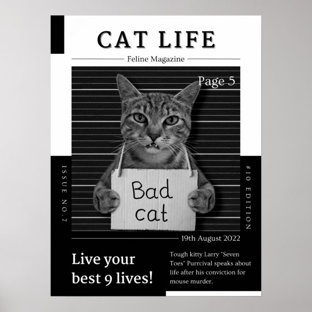 Póster CAT LIFE Magazine (Frente)