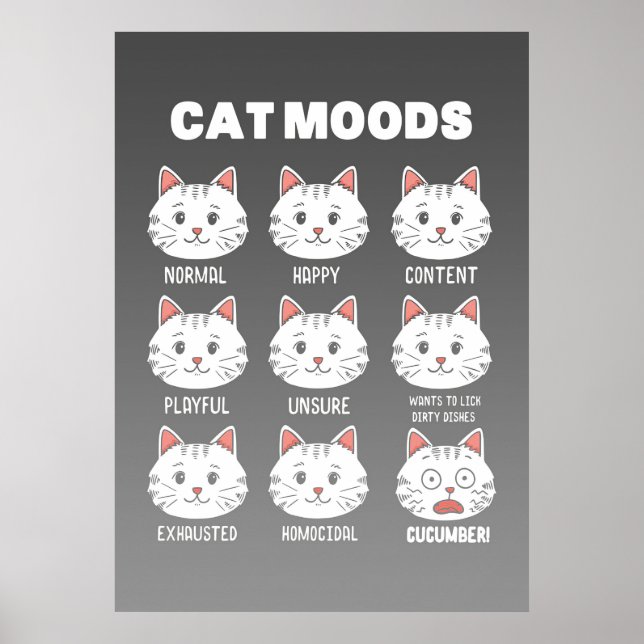 Póster Cat Lover Cat Moods (Frente)