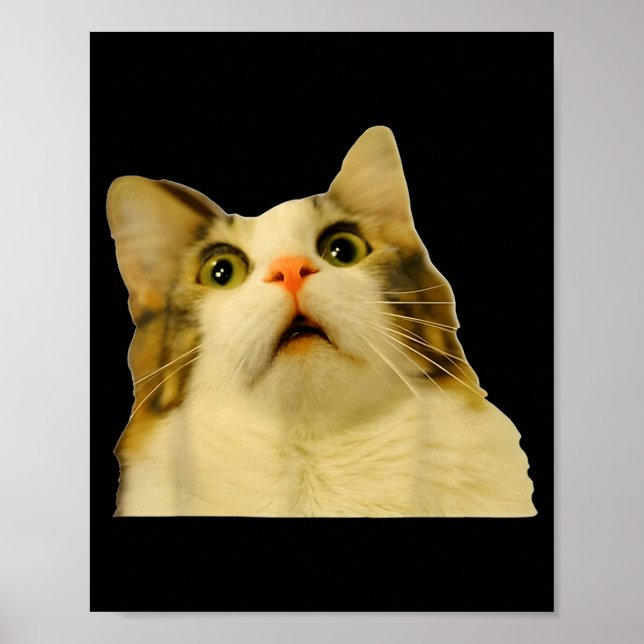 Póster Cat Meme Shock Cat Face Funny Meme Cat Silly Gift  (Frente)