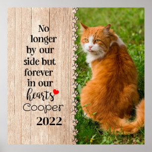 Póster Cat No Longer By Our Side But Forever In Our Heart