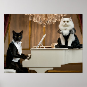 Póster Cat Piano Lounge Act