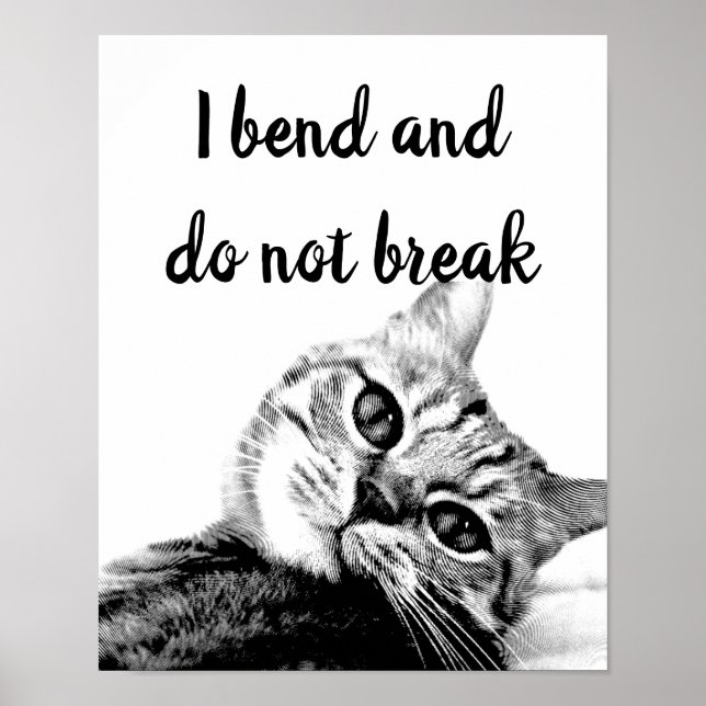 Póster Cat Poets Jean de La Fontaine I bend do not break  (Frente)