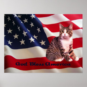 Póster Cat Poster All American