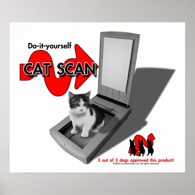 PÓSTER CAT SCAN (Frente)